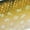 Pike, variant on Rapala Jointed J13, Fishing Lure, Silver Fluorescent Chartreuse
