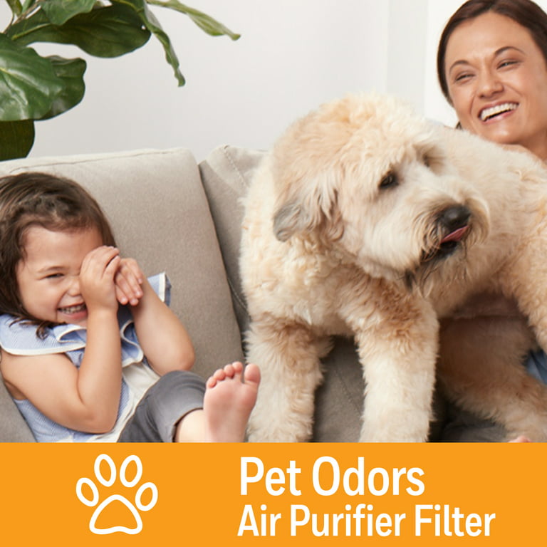 Honeywell Air Purifier S Filter for Pet Odor, H 10.6 x W 6.9 x L 0.39, 1  Pack, HRFSP1