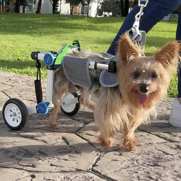 LetPetRun Adjustable Dog Wheelchair for Back Legs, Lightweight Foldable Dog Cart for Disabled or Paralyzed Hind Legs, Mobility Aid for Small Pets