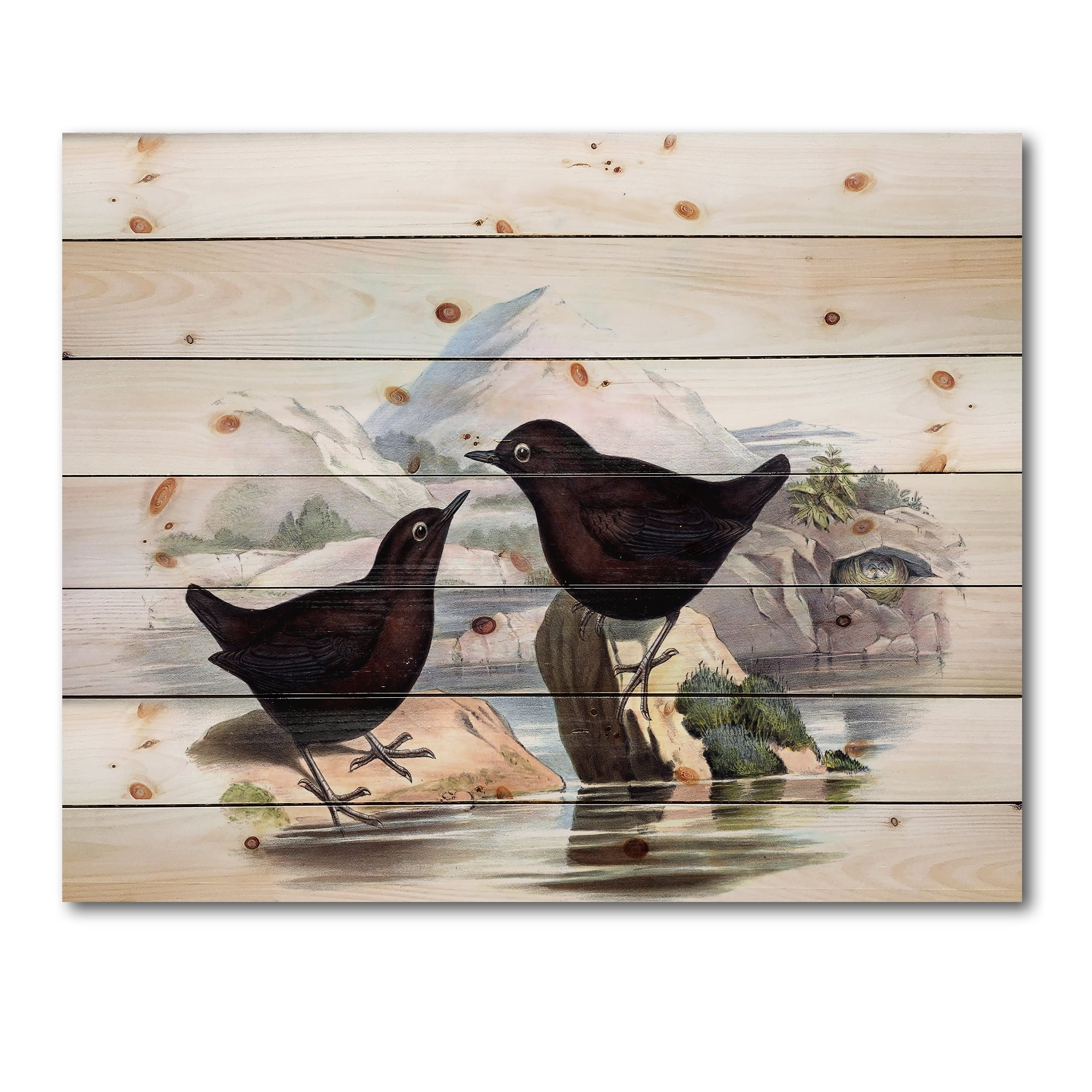 Designart 'Vintage Countryside Two Birds' Farmhouse Print on Natural Pine Wood