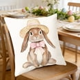 thumbnail image 5 of Djunllk Pillow Covers 18x18, Spring & Easter Cozy & Breathable Holiday Home Farmhouses Decorative Pillowcases, 5 of 6