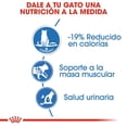 thumbnail image 3 of Alimento Húmedo Gato Adulto Weight Care 85g Royal Canin, 3 of 4