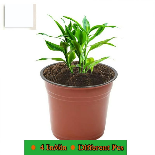 4inch/ 6inch Plastic Plant Nurseries/flower Pots Nursery Flower Plant