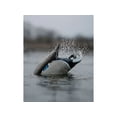 thumbnail image 3 of Banded Finisher Spitter Mallard Duck Motion Decoy, 3 of 5