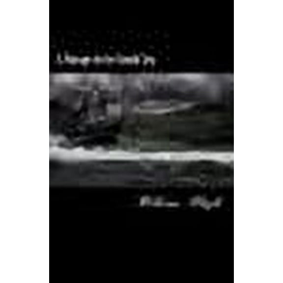 A Voyage to the South Sea (Paperback)