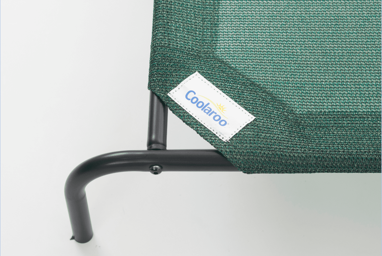 coolaroo elevated pet bed