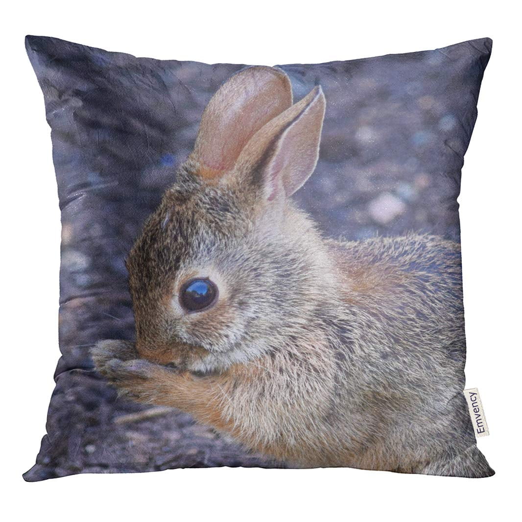 RYLABLUE Brown New England Cottontail Rabbit Green Baby Backyard