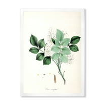 Designart 'Ancient Blossoming Flower IV' Farmhouse Framed Art Print