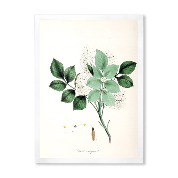 Designart 'Ancient Blossoming Flower IV' Farmhouse Framed Art Print