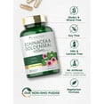 thumbnail image 5 of Echinacea Goldenseal Capsules 450mg | 150 Count | Vegetarian, Non-GMO, Gluten Free | by Carlyle, 5 of 8