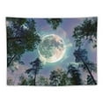 thumbnail image 5 of Shiartex  Trippy Moon Forest Ceiling Tapestry for Bedroom Aesthetic, Cool Psychedelic Trees Starry Night Galaxy Sky Tapestry Wall Hanging, Tapestries Poster Blanket Dorm Home Decor 60x50inch, 5 of 6