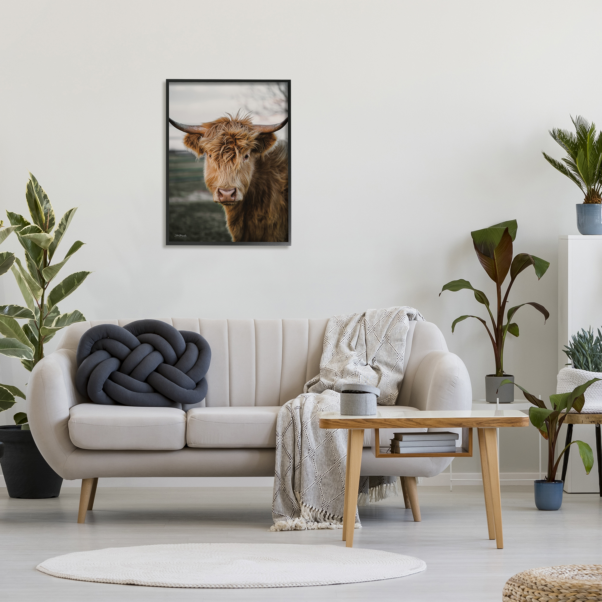 Stupell Industries Highland Cow Photography Animals & Insects Photography Black Framed Art Print Wall Art, 24 x 30