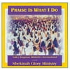 Praise Is What I Do (CD)
