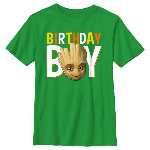 Boy's Guardians of the Galaxy Birthday Boy Groot Graphic Tee Kelly Green X Large