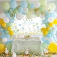thumbnail image 2 of One Silly Goose Backdrop Banner for Kids Goose 1st Birthday Party Decoration Duck Farm Barnyard 1st First Birthday Party Supplies (Pink, 6x3.6ft), 2 of 10