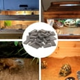 thumbnail image 1 of LOLIPPYY 40Pcs Miniature Bricks Dark Grey Rectangular for Landscaping and Terrarium Decoration 1.1x0.5x0.2in, 1 of 6