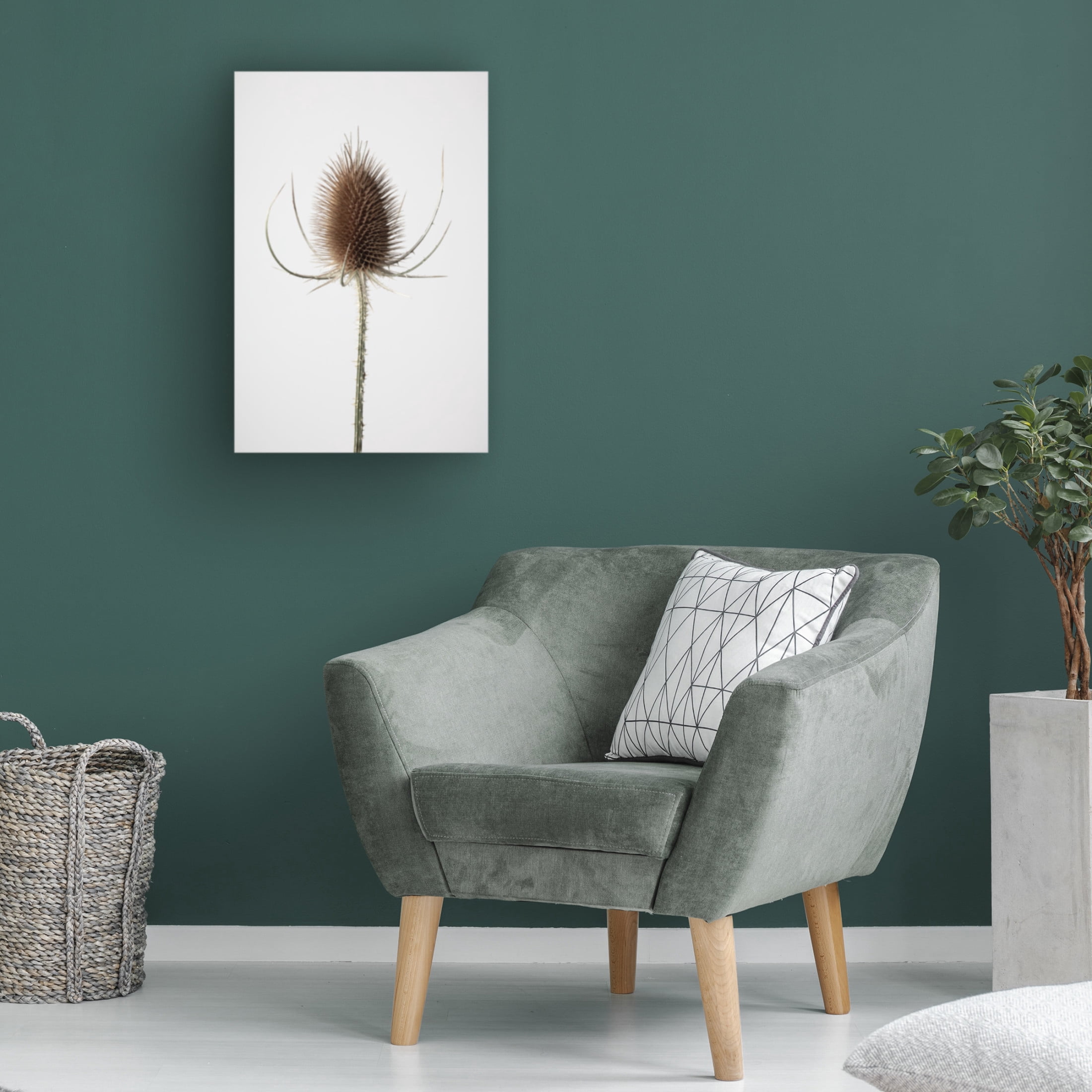 Trademark Fine Art Pictufy Studio Dried Canvas Wall Art