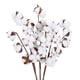 thumbnail image 1 of Tallo de algodón seco natural, relleno de flores artificiales de granja, decoración floral 7 cápsulas 6 piezas, 1 of 8