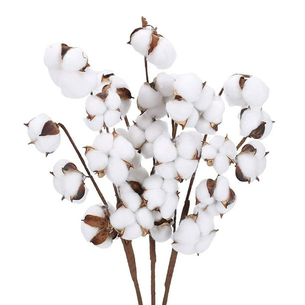 Tallo de algodón seco natural, relleno de flores artificiales de granja, decoración floral 7 cápsulas 6 piezas