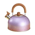 thumbnail image 1 of Hervidor de agua de acero inoxidable NikouMX Kette Rendimiento probado, 1 of 8
