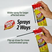 Goof Off Pro Remover Exact Spray 12oz
