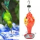 thumbnail image 5 of Comedero para colibríes, comedero para pájaros de cristal con pintura colorida, suministros para pájaros construidos para precisión, 5 of 8