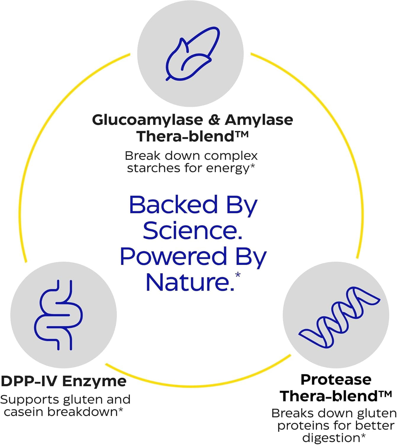 Enzymedica GlutenEase, Advanced Digestive Enzymes for Women and Men, Fast-Acting Formula for Bloating Relief & Digestive Health, Helps Break Down Gluten & Casein, 60 Capsules