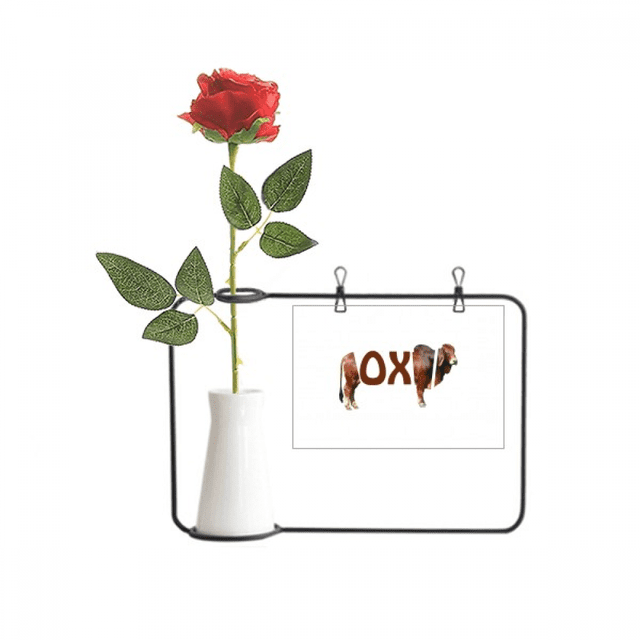 Beef-based Food Standing Art Deco Fashion Artificial Rose Flower Hanging Vases Decoration Bottle