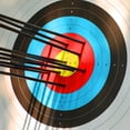 thumbnail image 2 of AME Archery Targets Paper-Standard Bow Arrow Paper Targets Face for Practice 30pcs(40cm/10 Ring), 2 of 12