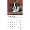 thumbnail image 4 of Boxer Puppies | 2026 12x24" (Hanging) Wall Calendar | Plastic-Free | BrownTrout, 4 of 9