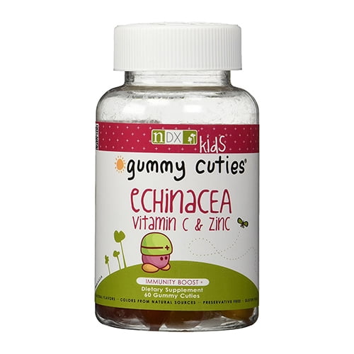 Natural Dynamix Kids Echinacea Vitamin C and Zinc Gummies 60 Ea, 6 Pack