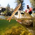 thumbnail image 3 of Señuelo duro 137cm Plástico Pesca Cebo duro 8 secciones Hundimiento Wobbler Ganchos Aparejos para bajo Práctico ANGGREK  Otros, 3 of 8