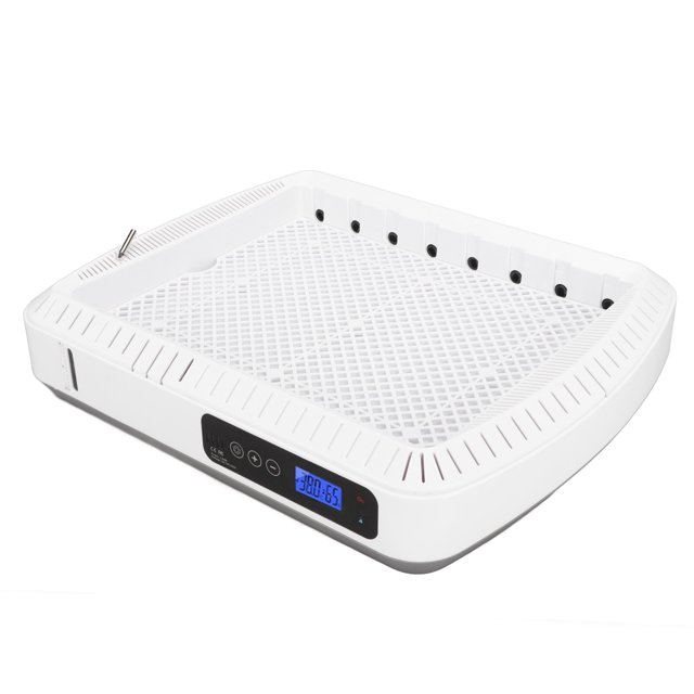 Máquina Para Incubar Huevos, Incubadora De Huevos, Gran Espacio, Temperatura Constante Para El Hogar Para Huevos De Pato Para Huevos De Pavo Real Para Huevos De Ganso
