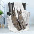 thumbnail image 4 of Kitty Soft Flannel Fleece Blanket, Couple Cat Sitting Next to Each Other Staring Studio Shot on Plain Backdrop, Cozy Plush for Indoor and Outdoor Use, 50" x 60", Taupe Grey and White, by Ambesonne, 4 of 5