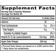 Vitafusion Apple Cider Vinegar Gummies, 500mg Apple Cider Vinegar per