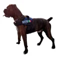 thumbnail image 1 of Pechera Táctica Personalizada Para Perro, 1 of 8