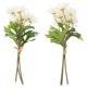 thumbnail image 1 of Hytrove 2Ud Margaritas Artificiales Miniaturas Para De Interiores Y Exteriores Duraderas, 1 of 6