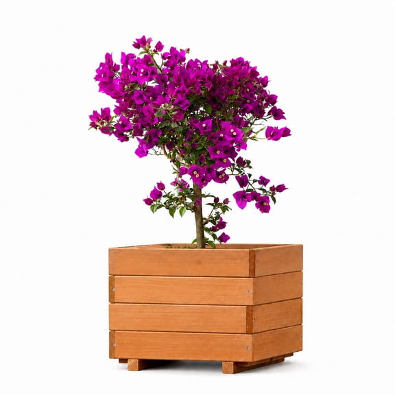 ScienGarden 15.75" Square Wooden Planter Box, Fir Wood Outdoor Planter Box with Liner, 2 Drainage Holes & Reinforced Bottom Supports