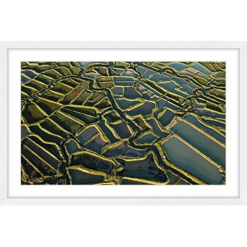 Marmont Hill "Waterways" Framed Painting Print