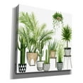 thumbnail image 2 of Epic Graffiti 'Plant Haven II' by Grace Popp, Canvas Wall Art, 12"x12", 2 of 2