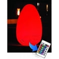 thumbnail image 1 of Main Access 131777 Large Alpha Led Egg with Remote (waterproof-floating), 1 of 1