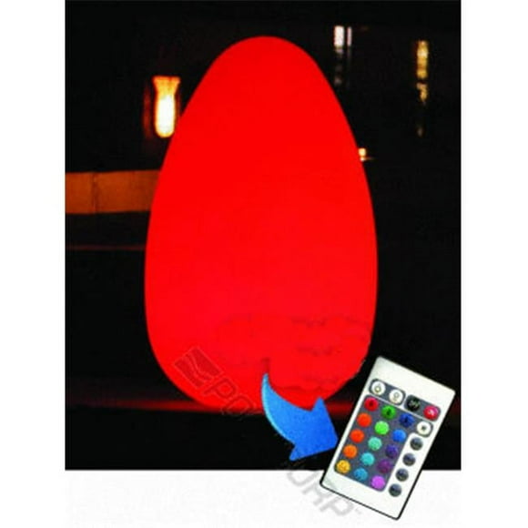Main Access 131777 Large Alpha Led Egg with Remote (waterproof-floating)