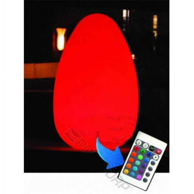 Main Access 131777 Large Alpha Led Egg with Remote (waterproof-floating)