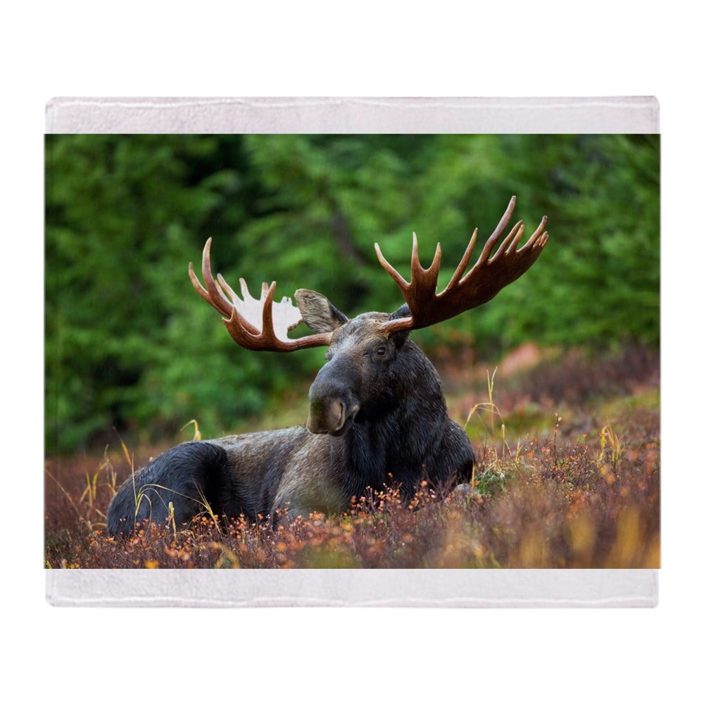 CafePress Majestic Moose Soft Fleece Throw Blanket, 50"x60" Stadium
