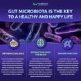 thumbnail image 6 of Healblend Digestive Health Probiotics 11.5 Billion CFU - Acidophilus Probiotic Supports Immune, Gut Health and Flush Out Bad Bacteria for Women & Men - 60 Capsules (3 Pack), 6 of 10