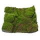 thumbnail image 3 of Césped artificial, musgo falso, adorno artesanal para jardín, decoración de musgo DIY, 3 of 5