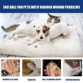 thumbnail image 4 of Liquid-Bandage for Dogs Pet Wound Skin- Home FirstAid Bandage for Pets New U4, 4 of 7
