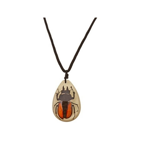 Ed Speldy East PYB1106 Real Bug Necklace-Stag beetle