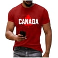 thumbnail image 2 of Mens Big & Tall Short Sleeve T-Shirts Graphic Crewneck Casual Printed Tee Summer Beach Hawaiian Vintage Shirts Size M-4XL Wine, 2 of 7