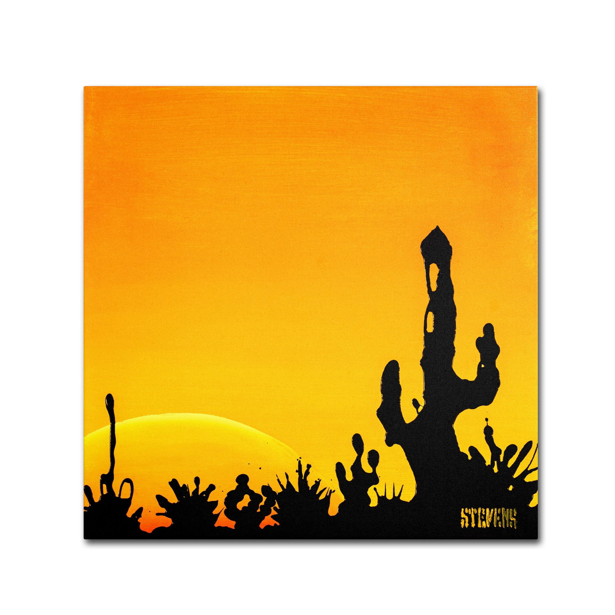 Trademark Fine Art "Saguaro Sunset" Canvas Art by Roderick Stevens